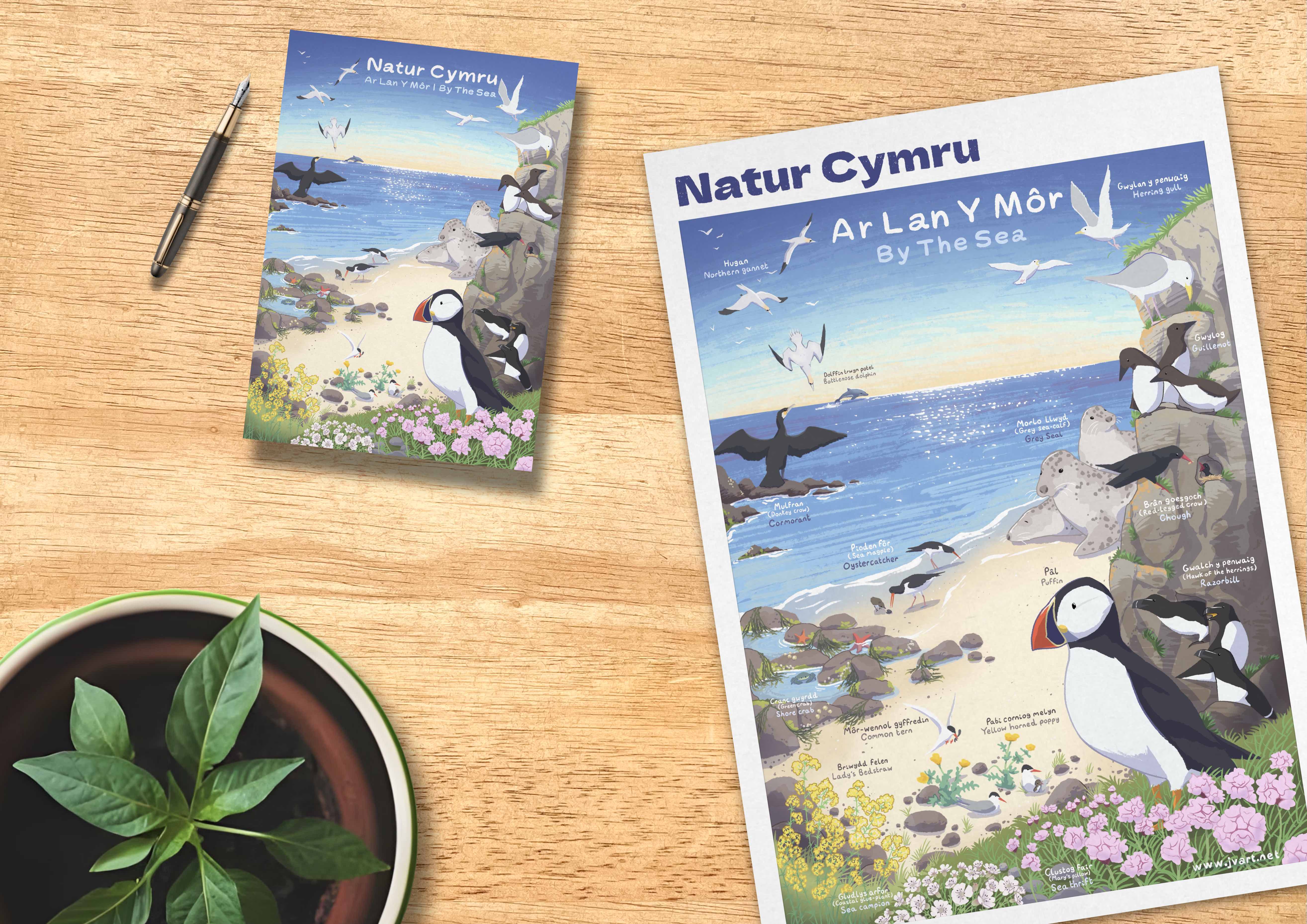 Natur Cymru: By The Sea